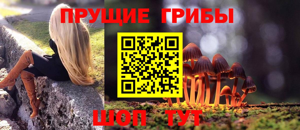 Галлюциногенные грибы GOLDEN TEACHER Лянтор