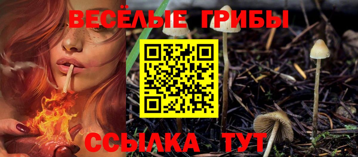 Лянтор  Галлюциногенные грибы MAGIC MUSHROOMS  Вход с VPN 